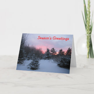 Season's Greetings Holiday Card