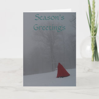 Season's greetings holiday card