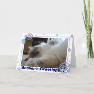 Season's Greetings... Holiday Card