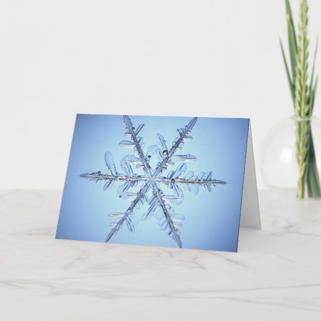 Seasons Greetings Holiday Card (Front)