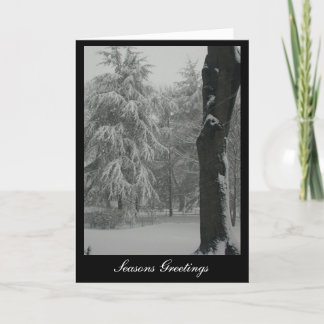 Seasons Greetings Holiday Card
