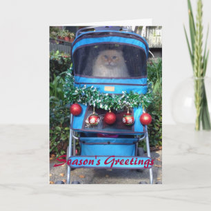 Season's Greetings Holiday Card
