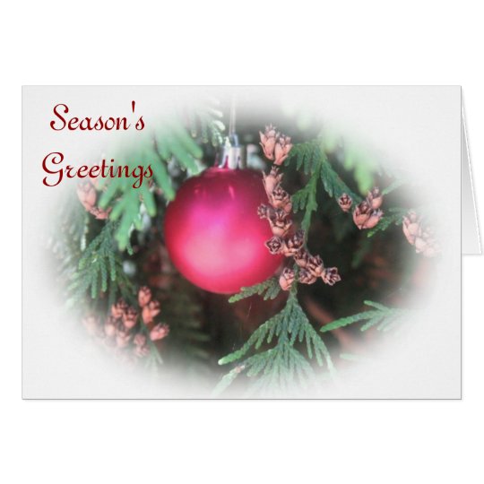 Season's Greetings Holiday Card
