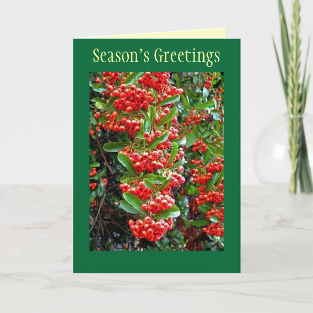 Season's Greetings Holiday Card w/ Red Berries (Front)