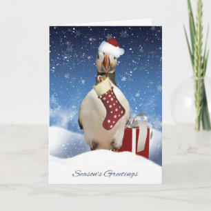 Season's Greetings Holiday Card With Wild Puffin