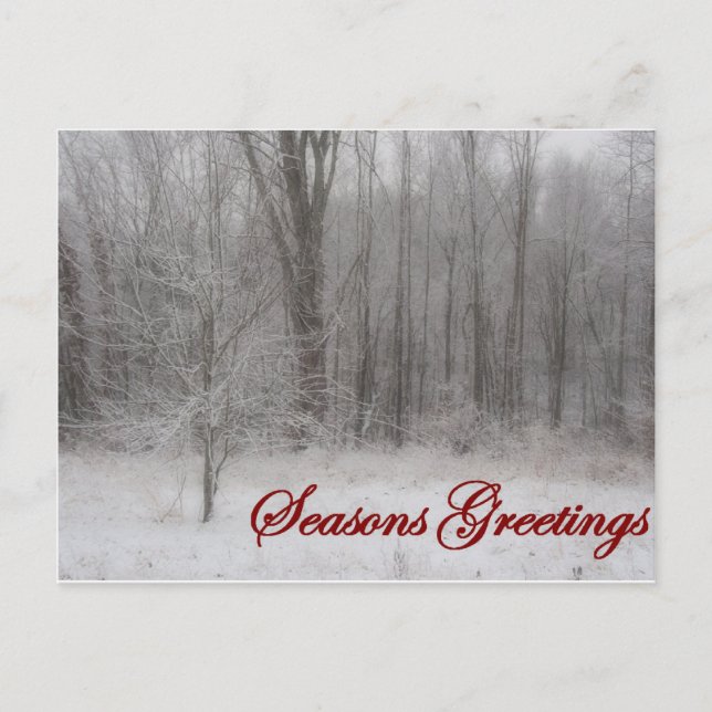 Seasons Greetings Holiday Postcard (Front)