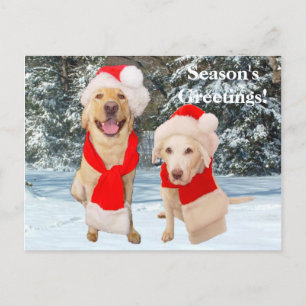 Season's Greetings! Holiday Postcard
