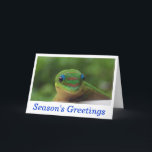 Season's Greetings Holiday Wildlife Cards<br><div class="desc">Season's greetings holiday greeting cards with a cute green gecko card,  photographed in Hawaii.  Matching postage is available.</div>