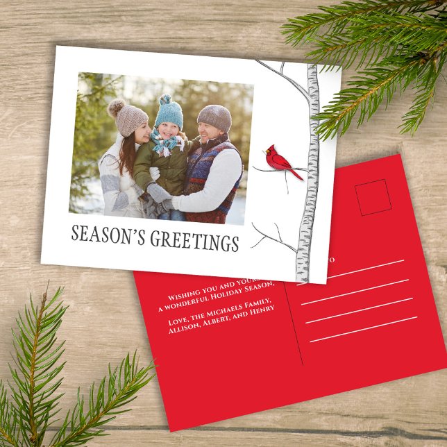 Season's Greetings Holiday Winter Red Cardinal  Postcard (Simple winter botanical red cardinal photo postcard with a minimalist design.)