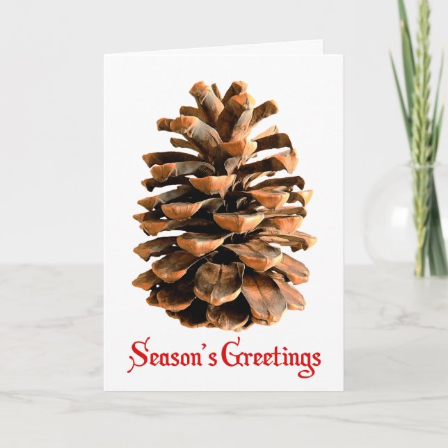 Season's Greetings - Jerusalem Pine Cone Holiday Card (Front)