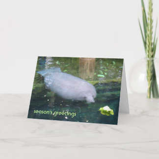 season's greetings - lettuce holiday card