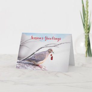 Season's Greetings Mourning Dove and Red Berries Holiday Card