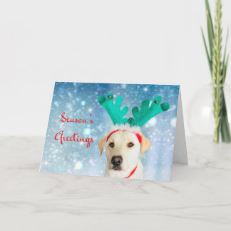 Season's Greetings Pet Labrador Dog Cute Festive Holiday Card