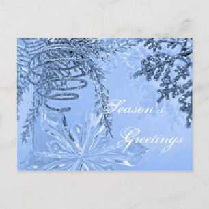 Season's  Greetings postcard