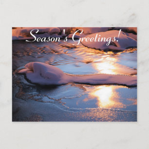 Season's greetings postcard