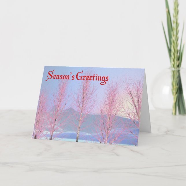 Season's Greetings - Raspberry Creme Birch Holiday Card (Front)