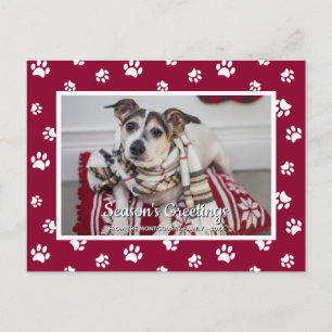 Season's Greetings! Red White Paw Prints Dog Photo Holiday Postcard