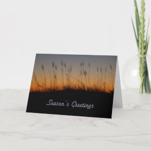Season's Greetings Sea Oats and Dunes at Sunset Holiday Card