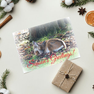Season's Greetings Sleeping Deer Photo Holiday Card