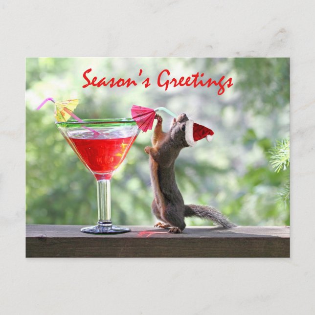 Season's Greetings Squirrel Holiday Postcard (Front)