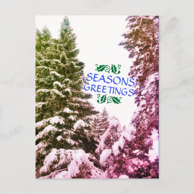 SEASONS GREETINGS TREES ANTIQUE POSTCARD (Front)
