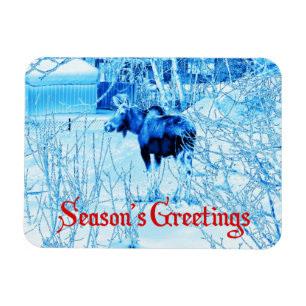 Season's Greetings - Urban Moose Magnet