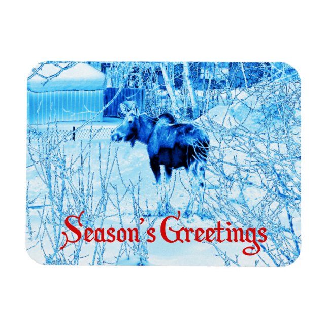 Season's Greetings - Urban Moose Magnet (Horizontal)