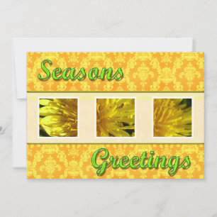 Season's greetings wild dandelion flowers holiday card