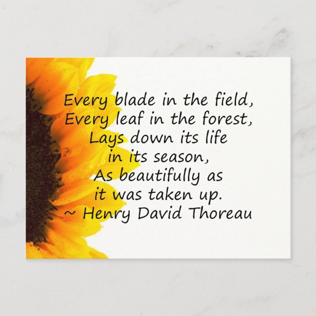 Seasons of Life Postcard (Front)