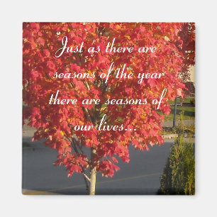 Seasons of Our Lives... Magnet