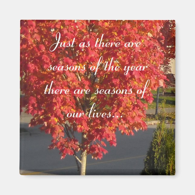 Seasons of Our Lives... Magnet (Front)