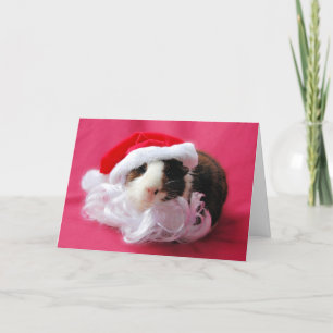 Season's Squeakings! Holiday Card