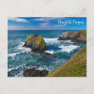 Seastacks at the Yaquina Headlands Newport Oregon Postcard