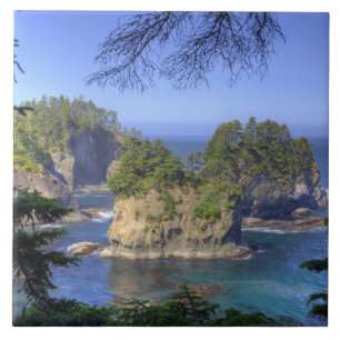 Seastacks, Makah Nation Tribal Lands, Cape Ceramic Tile