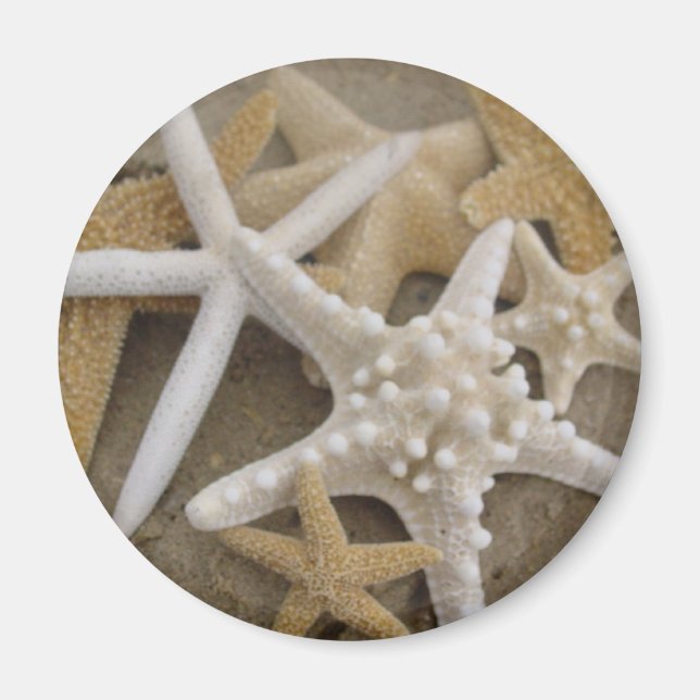 seastars (starfish) magnet (Front)