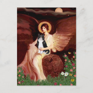 Seated Angel - Black and White Cat Postcard