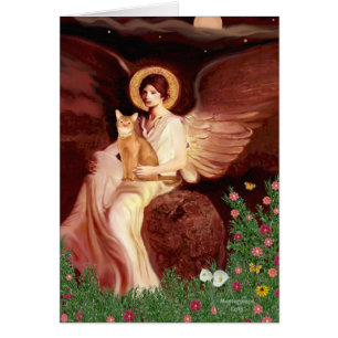 Seated Angel - Red Abyssinian