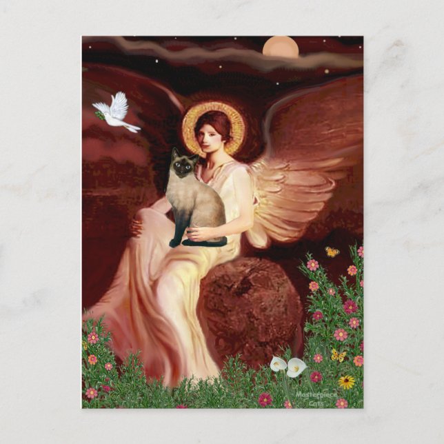 Seated Angel - Seal Point Siamese cat Postcard (Front)