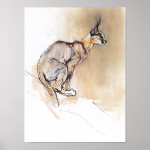 Seated Caracal 2009 Poster