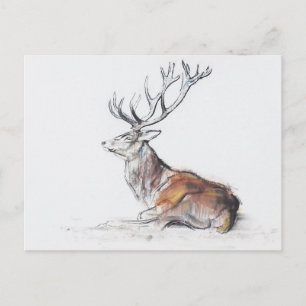 Seated Stag 2006 Postcard