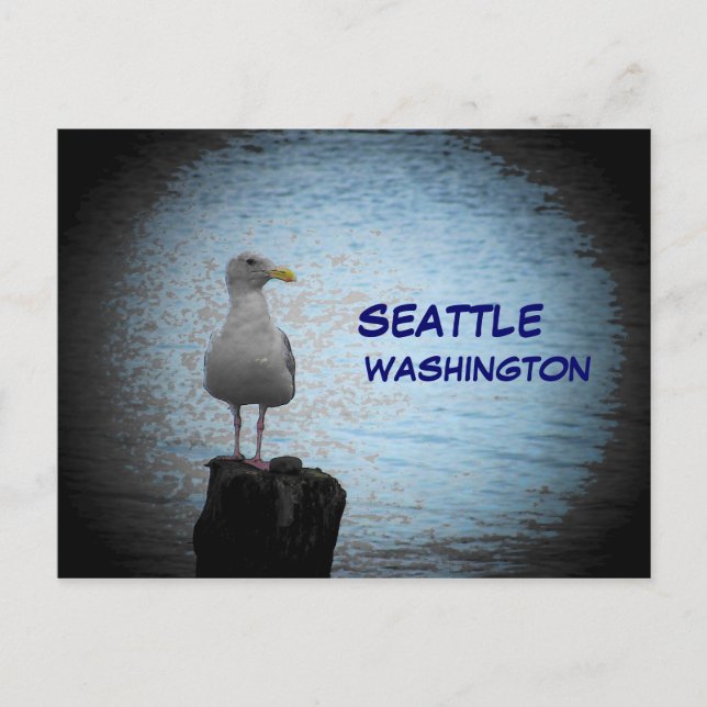 Seattle Seagull Postcard (Front)