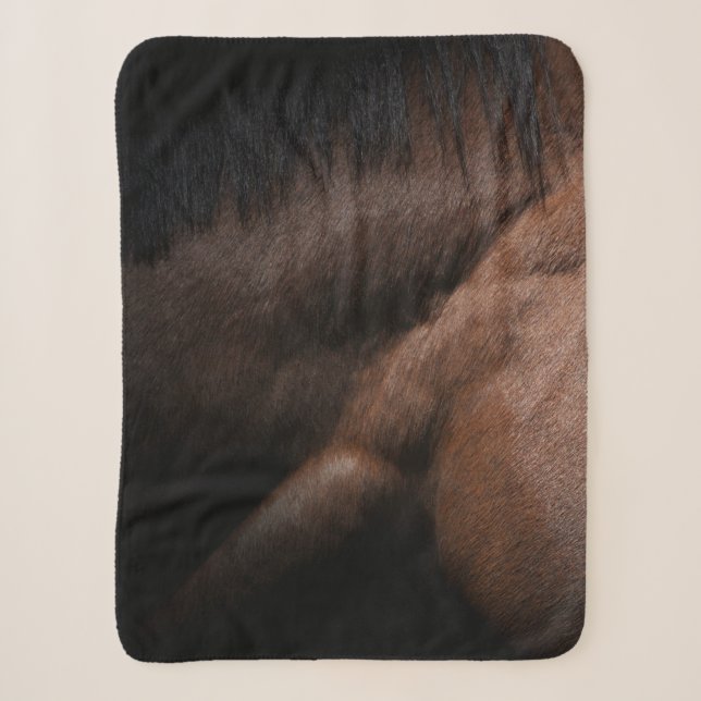 Seattle Sherpa Blanket (Front)