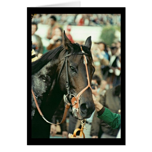 Seattle Slew Thoroughbred 1978 (Front)