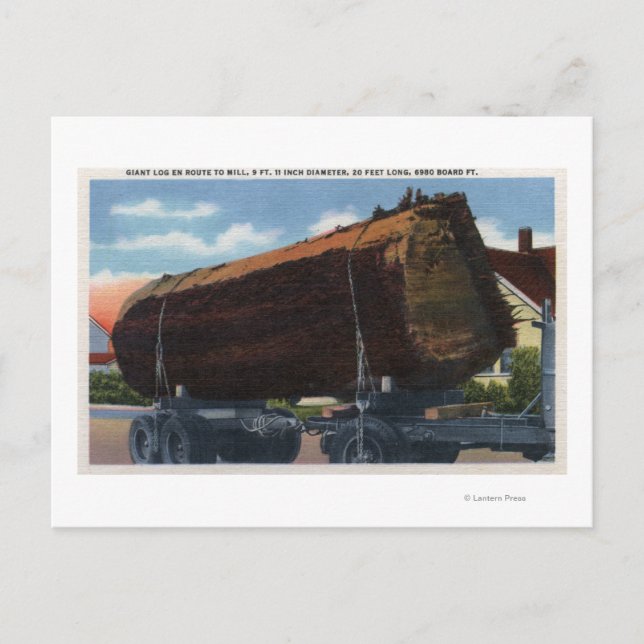 Seattle, WashingtonGiant Log en route to Mill Postcard (Front)