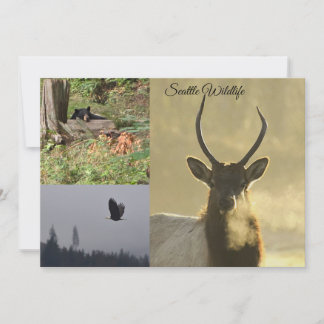 Seattle Wildlife Invitation