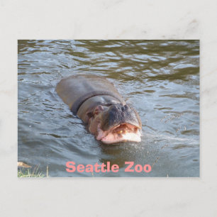 Seattle Zoo Postcard