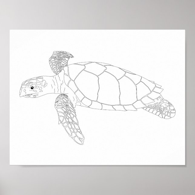 Seaturtle Adult Colouring Poster (Front)