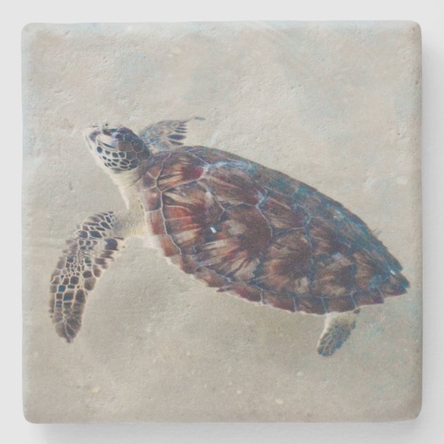 Seaturtle stone coaster  (Front)