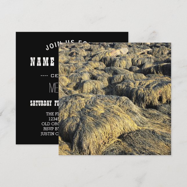 seawall seaweed invitation (Front/Back)