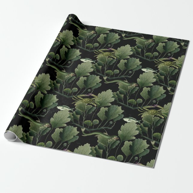 Seaweed and Fish on Black Wrapping Paper (Unrolled)